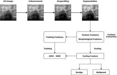 Meta-Heuristic Algorithm-Tuned Neural Network for Breast Cancer Diagnosis Using Ultrasound Images